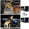 Scratch Rainbow Painting Art Paper,Scratch & Sketch Art for Adults,Animal Series Creative DIY Gifts&Arts Craft Kits with 4