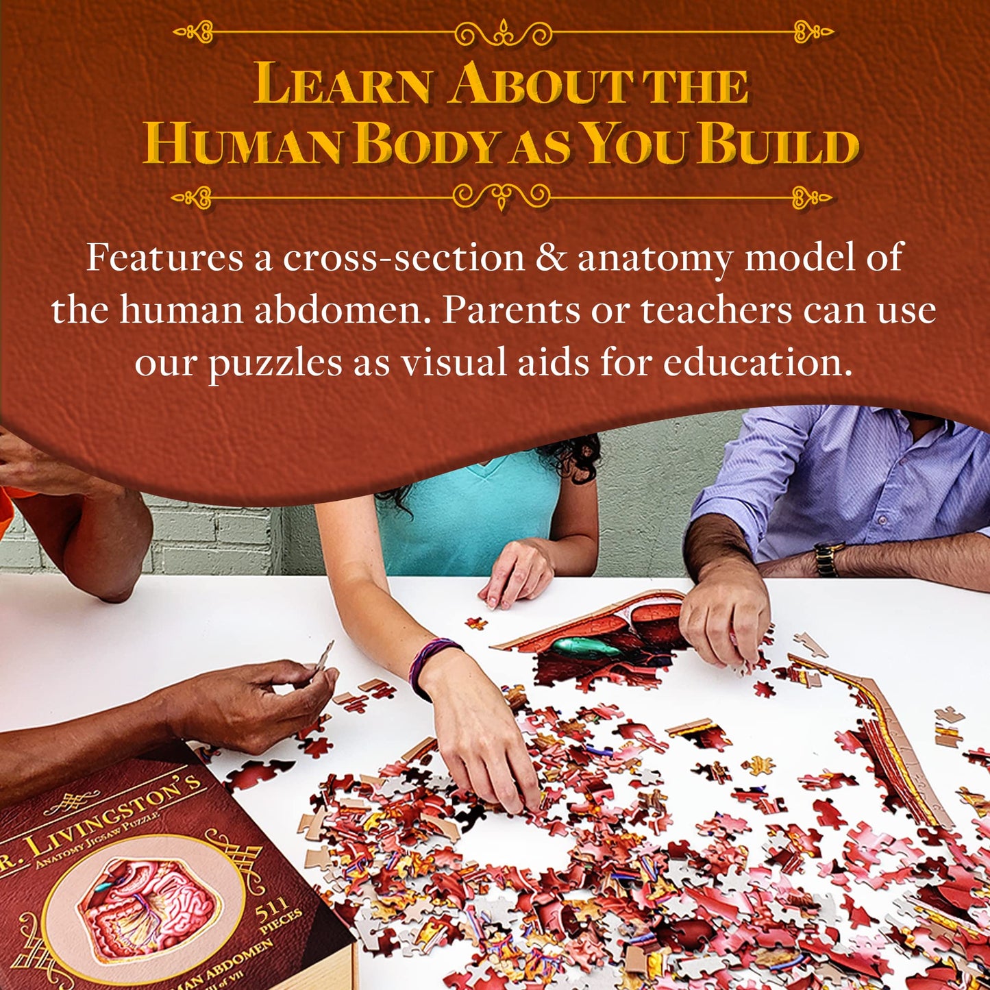 Genius Games Human Abdomen Anatomy Jigsaw Puzzle | Dr Livingston's Unique Shaped Science Puzzles, Accurate Medical Illustrations of the Body, Organs