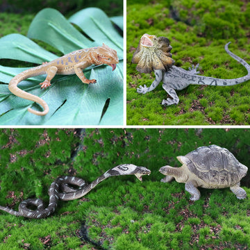 Toymany Reptile Animal Figurine Toys Set, 12 PCS Halloween Desert Amphibians Animal Figures with Komodo Dragon Lizard Snake Chameleon Rainforest Cold
