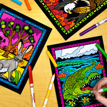 Super Pack of 18 Fuzzy Velvet Coloring Posters (National Parks Edition) - Great for Family Time, Arts & Crafts, Travel, At Home, Care Facilities [All