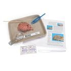 Carolina Sheep Brain Dissection Kit - Complete Anatomy Learning Set | Step-by-Step Guides, Tools, and Digital Resources | Ideal for Classroom