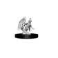 D&D Nolzur's Marvelous Miniatures - Quasit & Imp