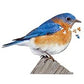 Madd Capp Bluebird 300 Piece Jigsaw Puzzle For Ages 10 and up - Unique Animal-Shaped Border, Poster Size, Challenging Random Cut, Five-Sided Box Fits