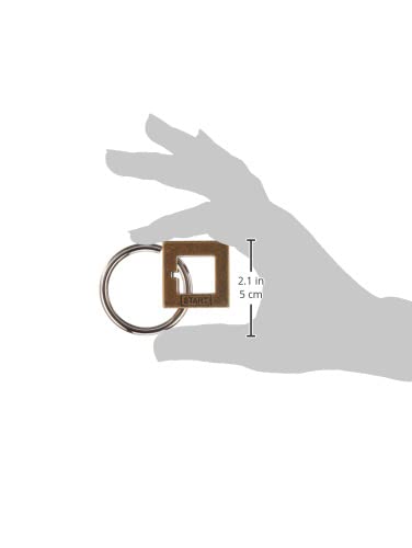 BePuzzled |Box Hanayama Metal Brainteaser Puzzle Mensa Rated Level 2, for Ages 12 and Up