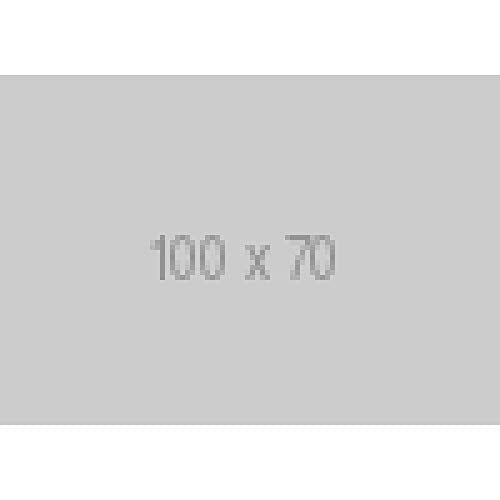 Ultra Pro - Standard Pro Matte Card Sleeves 100 Pack - Clear
