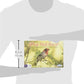Outset Media What Bird Am I? - The Bird Identification Game - Contains 300 Cards for 2 or More Players Ages 14 and up