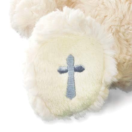 DEMDACO The Lord's Prayer Bear - Religious Plush Toy for Calming Comfort - Prayer Bear Plush - Spiritual Gift for Kids - Bedtime Hug Toy - Air Dry