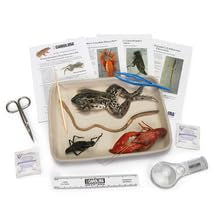 Young Scientist's Animal Dissection Kit - Hands-On Introduction to Animal Anatomy | Ideal for Middle and High School Students