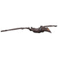 Jurassic World Rebirth Basic 12" Quetzalcoatlus Action Figure