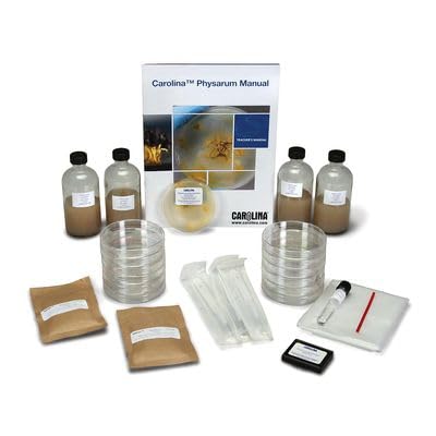 Carolina Physarum Culture Kit - Living Slime Mold for Life Cycle Studies | Hands-On Exploration of Plasmodial & Sclerotial Stages | Includes Digital
