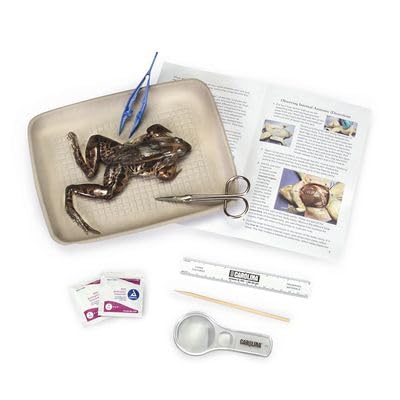 Carolina Biological Supply Young Scientist Frog Dissection Kit - Single Station 1-2 Student Frog Anatomy Kit | Teach Students Anatomy Hands-On |