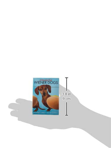 AQUARIUS Wonderful Wieners Playing Cards - Cute Weiner Dog Themed Deck of Cards for Your Favorite Card Games - Weiner Dog Merchandise & Collectibles