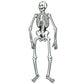 Beistle Jointed Skeletons, 22", White/Black