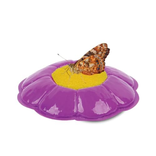 Insect Lore Butterfly Farm with Pre-Paid Voucher to Redeem Caterpillars - Ultra-Clear Dome Habitat, STEM Journal, Chrys-A-Lid Holder - Give the Gift