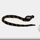Wild Republic Snakesss Hooded Cobra Stuffed Animal - 54"