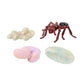 Insect Lore Bug Camp Bundle - Butterfly Kit with 5 Live Caterpillars, Ladybug Land with 1 Tube Live Larvae, Ant Mountain with 1 Tube Live Western