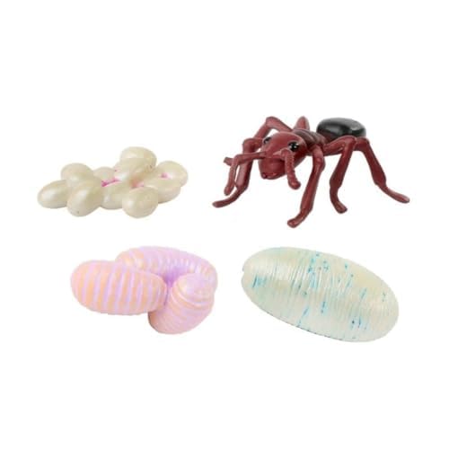 Insect Lore Bug Camp Bundle - Butterfly Kit with 5 Live Caterpillars, Ladybug Land with 1 Tube Live Larvae, Ant Mountain with 1 Tube Live Western