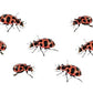 Insect Lore Two Tubes of Ladybug Larvae with STEM Activity Journal - Raise, Observe and Release Pink Spotted Ladybugs - Grown in The USA - Ladybug Kit