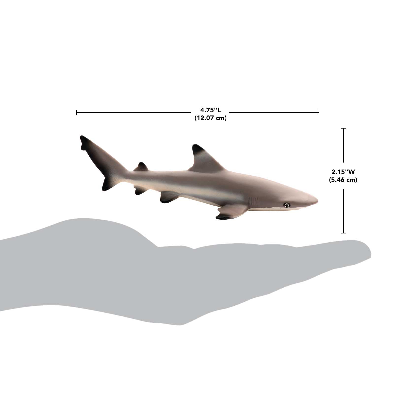 Safari Ltd Blacktip Reef Shark Figurine - Lifelike 5.75" Model Figure - Educational Toy for Boys, Girls, and Kids Ages 3+
