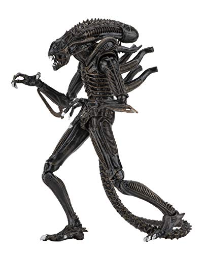 NECA - Alien- 7" Scale Action Figures - Ultimate Warrior - (1986) Brown Alien
