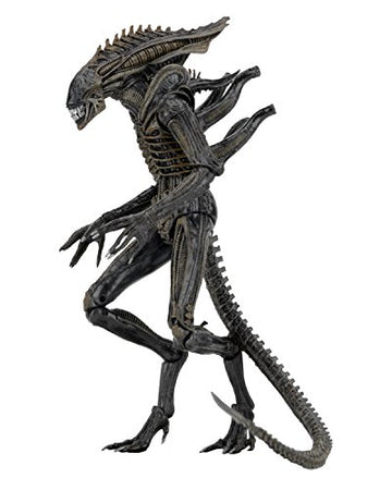 NECA Aliens - 7" scale action figure series 11 - Defiance Alien