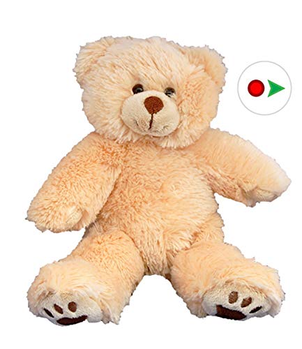 Stuffems Toy Shop Record Your Own Plush 8 inch Brown Bear - Ready 2 Love in a Few Easy Steps