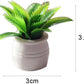 1:12 Scale Mini Potted Plants - Resin Botanical Decor for Dollhouse Kitchens and Living Rooms, Evergreen DIY Craft Accessories with Lifelike Foliage