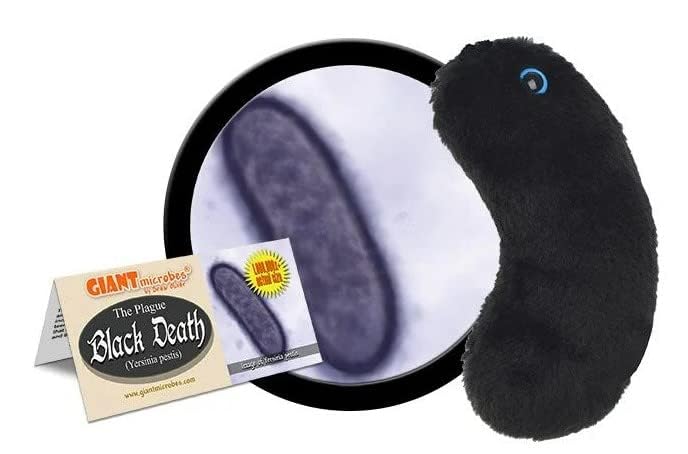 GIANT MICROBES Black Death Plush, History Teacher Gifts, Gifts for Science Lovers, Public Health, Gift for History Buff, Black Plague, Dark Humor