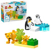 LEGO DUPLO Town Wild Animal Families Penguins & Lions Building Toy Playset - Preschool Learning & Educational Animal Toy for Toddlers, Boys and Girls