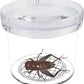 SimpleSS 8 Pieces Bug Viewer Critter Insect Cage Magnifying Insect Box Bug Magnifier Container Bug Catcher Cage, Science Nature Exploration Tools