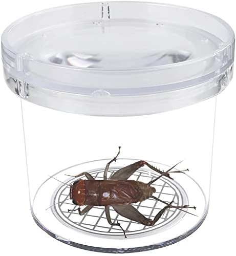 SimpleSS 8 Pieces Bug Viewer Critter Insect Cage Magnifying Insect Box Bug Magnifier Container Bug Catcher Cage, Science Nature Exploration Tools