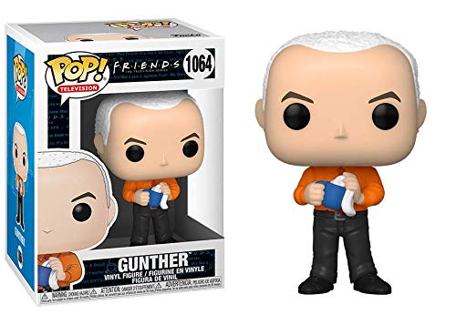 Funko Pop! TV: Friends - Gunther Vinyl Figure (Bundled with Pop Box Protector Case)