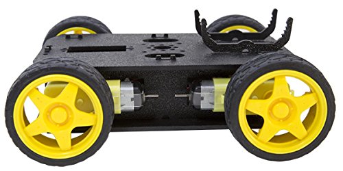 Junior Runt Rover