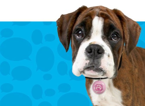 Mattel Puppy Tweets Pink