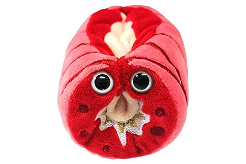 GIANT MICROBES Asthma Plush, Pulmonology Gifts, Respiratory Therapy, Anatomy Model, Emotional Support Pal, Chronic Pain, Pulmonary Gifts, Pulmonary
