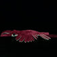 BABY FRANKIEZHOU Simulation Anomalocaris Plush Toy 21 Inch, Cute Soft Anomalocaris Stuffed Animal for Kids Boys and Girls, Red