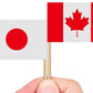 ZXvZYT 48 Country Flag 2026 Patriotic National Soccer Toothpick Flags,Small Mini Countries World Cupcake Toppers Stick flags - Soccer Party Cocktail