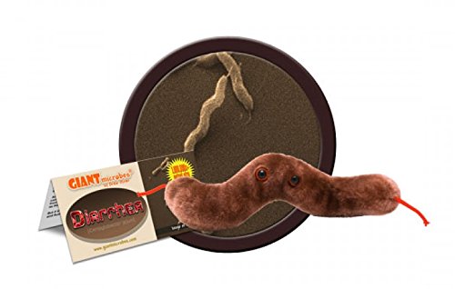 GIANTmicrobes Diarrhea Plush - Learn About Digestive Health, Campylobacter Bacteria and How it Affects The Body, Humorous Gift for Friends, Doctors