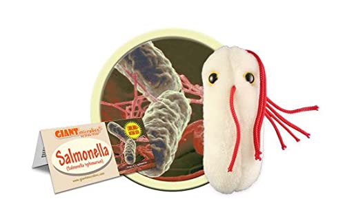 GIANTmicrobes Salmonella Plush -Learn About Food Safety, Bacteria and Gut Health with this Unique Fun Gift for Friends, Families, Teachers, Chefs