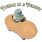 Accoutrements Archie Mcphee Pigeon in a Peanut Pull Back Toy Car (13038)