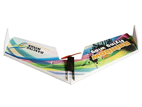 Dancing Wings Hobby 31" Delta Wing EPP Airplane ZAGI Plane Rainbow Fly Wing 800mm Tail-Pusher Version with Power System E0514