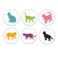 Steve Jackson Games We Love Cats | A Game About Adopting Cats!