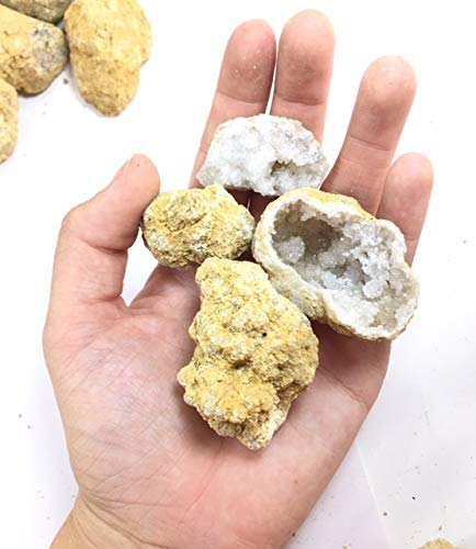 40 Break Your Own Geodes Crystals Bulk Pack - Whole Moroccan 1.5"