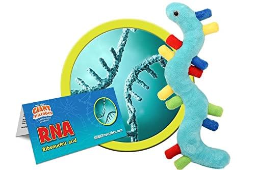 GIANT MICROBES RNA Plush, Genetics Gift, DNA Gifts, Genealogy, Ancestry Gift, Biology Plushies, Genetic Counselor, Forensic Science Gifts, Biology