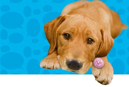 Mattel Puppy Tweets Pink