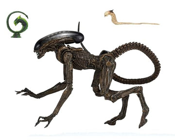 NECA Alien 3 - Ultimate Dog Alien - 7” Scale Action Figure