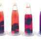 Brainy BRINY'S in A Beaker Bag: Algae and BRINE Shrimp Growing KIT. (K-12, HS, AP-BIO, AP-ES) (Plus Two Ready-to-Go Algae Beads)
