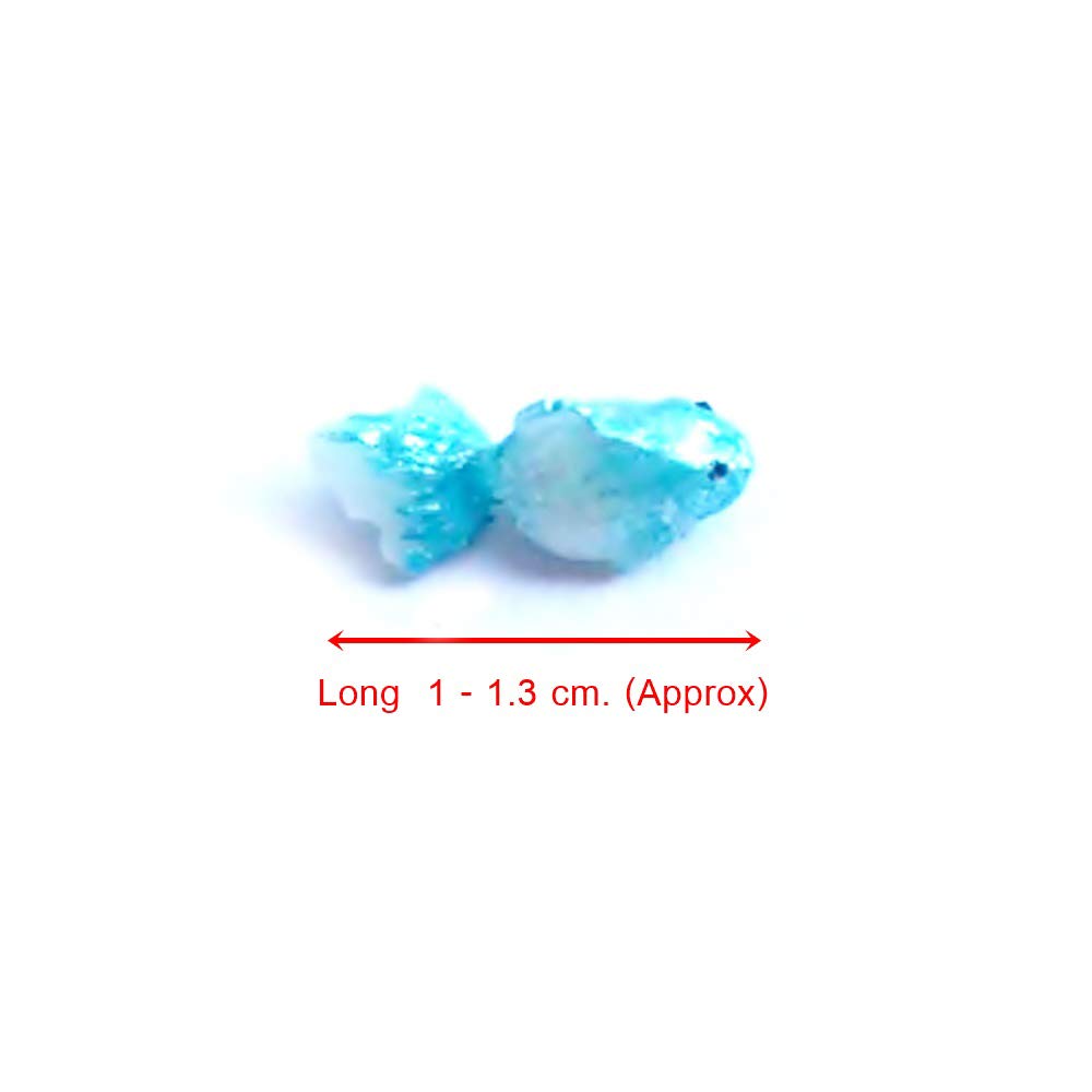 an_Shop 10 Pcs Light Blue Goldfishs Miniature DIY Artificial Accessories Decorations Scale 1:12 Thai Clay Figurine Mini Decorative Craft Dollhouse