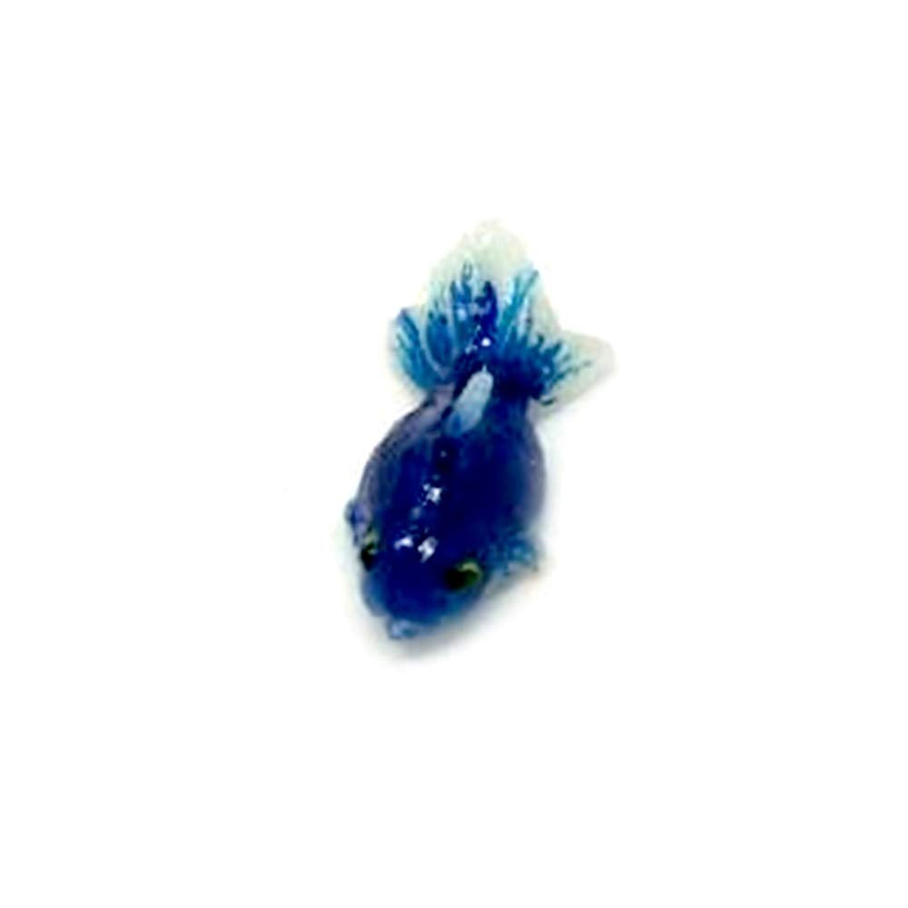 An_Shop 10pcs Artificial Animal Accessories Clay Goldfish Packs Miniature Figurine Mini Decorative for DIY Ornament Craft DIY Dollhouse Dark Blue