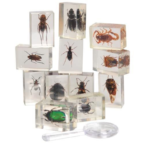 Constructive Playthings Bugs Collection, 12 Real Insects with Mini Magnifyer Scientific Educational Toy